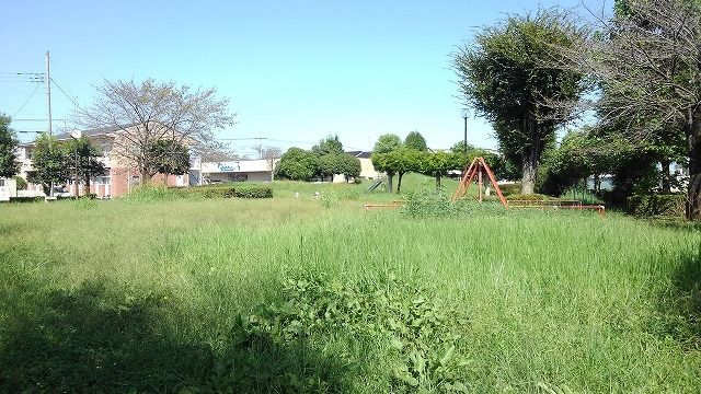 公園　川口北公園（公園）まで50m