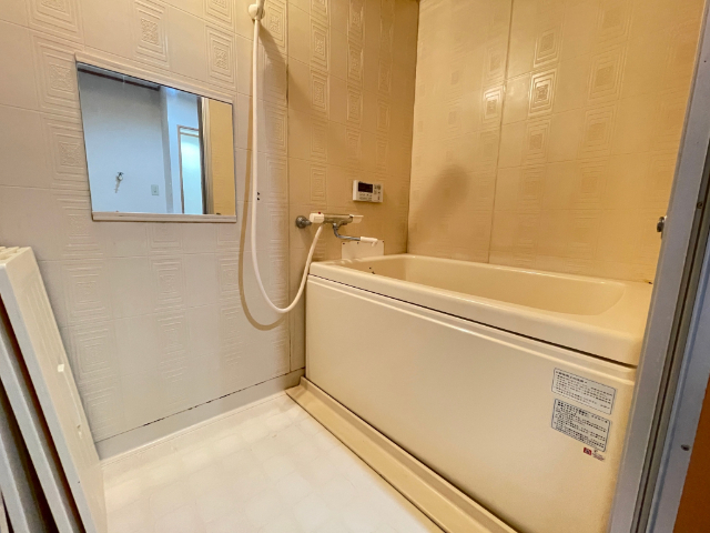 バス・シャワールーム　清潔感のあるバスです