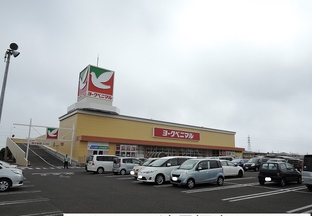 スーパー　ヨークベニマル遠見塚店（スーパー）まで500m