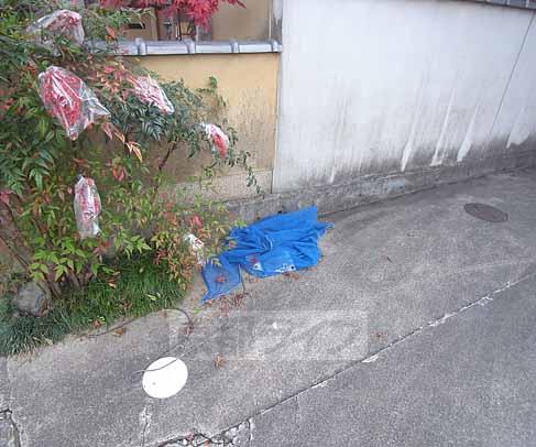 メゾンド静市のその他写真