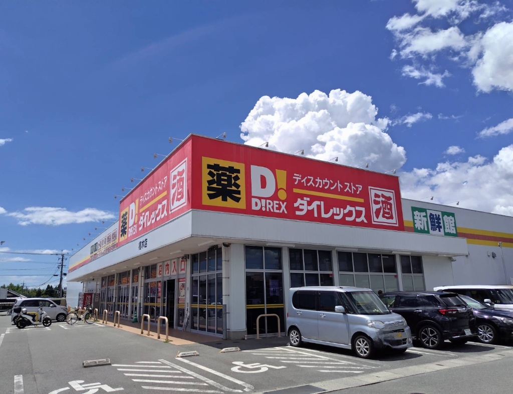 ショッピングセンター　ダイレックス 植木店（ショッピングセンター）まで489m