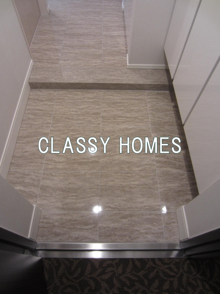 玄関　2019年竣工　ディームス大井町：玄関