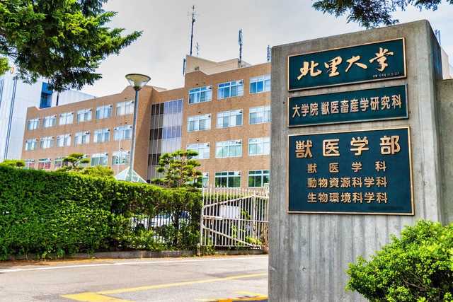 大学・短大　北里大学（大学・短大）まで2072m