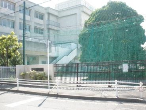 小学校　南加瀬小学校（小学校）まで993m