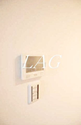 セキュリティ　モニター付きインターホンです。