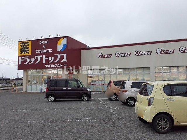 ドラックストア　ドラックトップス舟入（ドラッグストア）まで250m