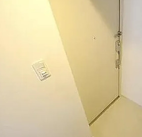 玄関　※別部屋の参考写真です。