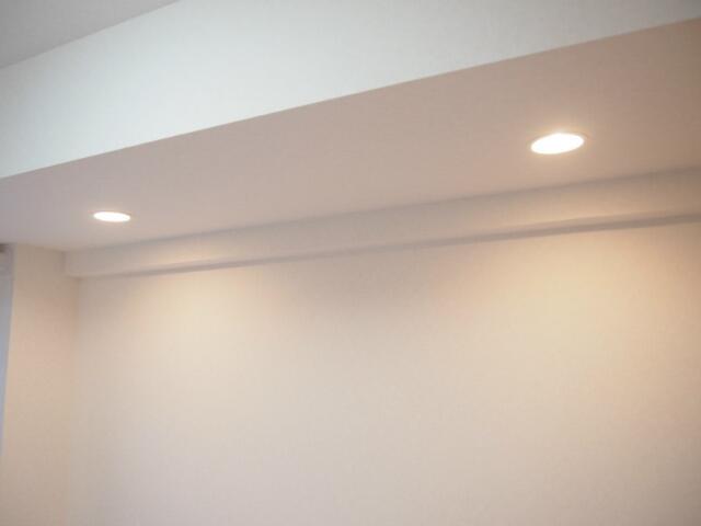 その他設備　ダウンライト?