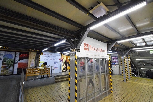 スーパー　東急ストア 菊名店（スーパー）まで1277m