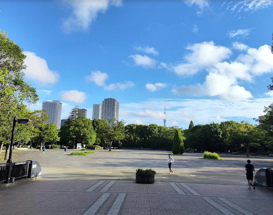 公園　木場公園（公園）まで315m