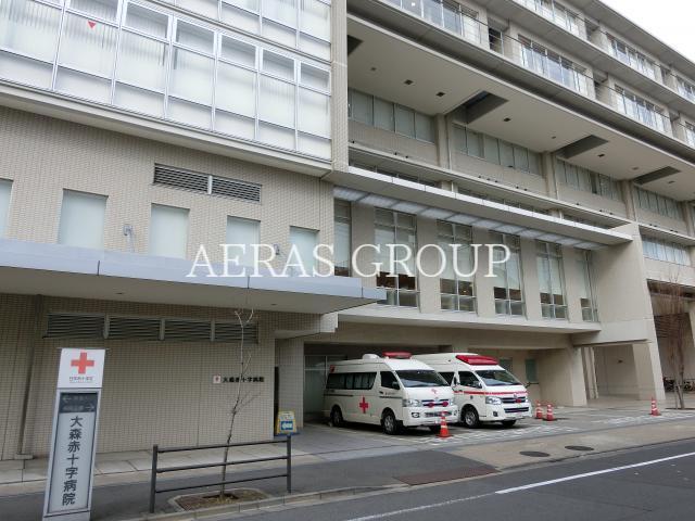病院　大森赤十字病院（病院）まで1060m