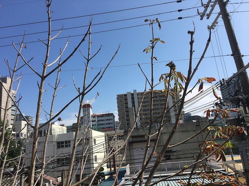 眺望