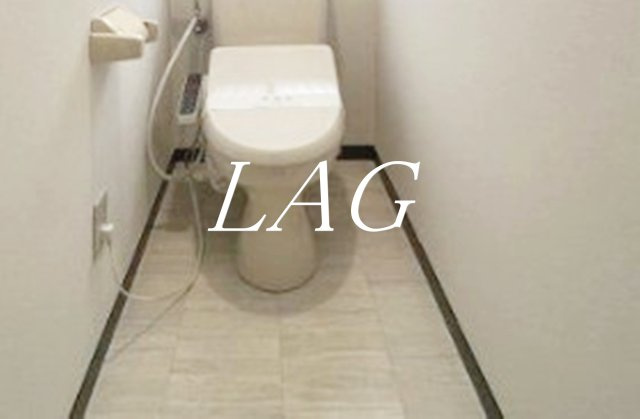 トイレ　トイレです。（同仕様です。）