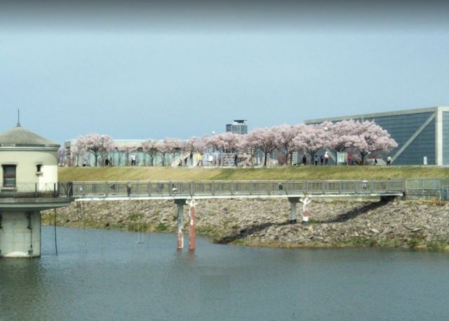 公園　狭山池公園（公園）まで1087m