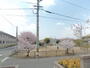 眺望　坂里公園