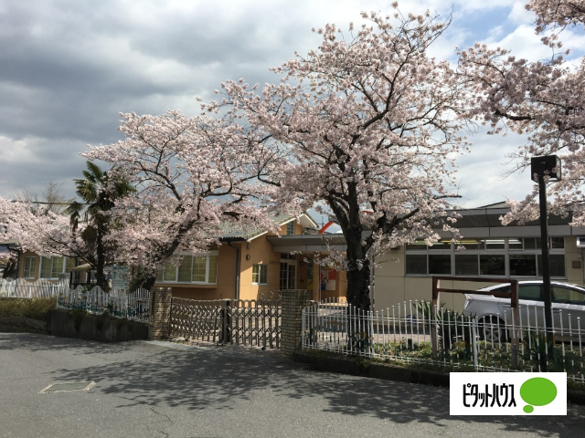 幼稚園・保育園　石部保育園（幼稚園・保育園）まで515m