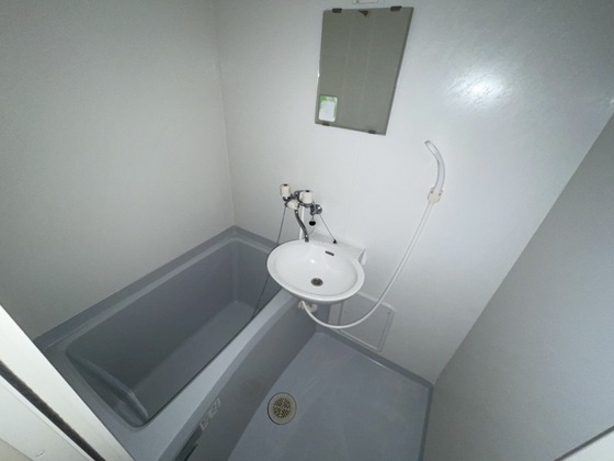 バス・シャワールーム　※別部屋の写真です