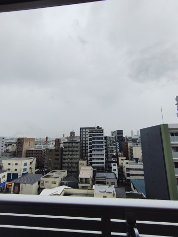南海汐見橋線 芦原町駅 徒歩9分 12階建 築1年のその他写真