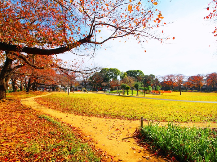 公園　花畑公園（公園）まで850m