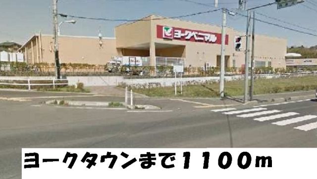 スーパー　ヨークタウン（スーパー）まで1100m