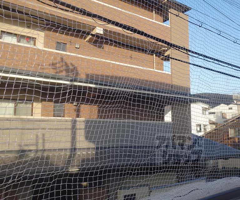 グリーン馬町のその他写真
