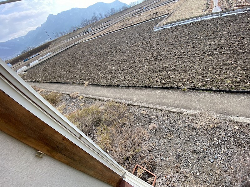 眺望　イメージ