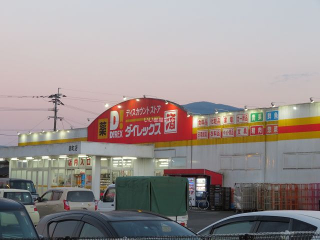 その他　ダイレックス（その他）まで1196m