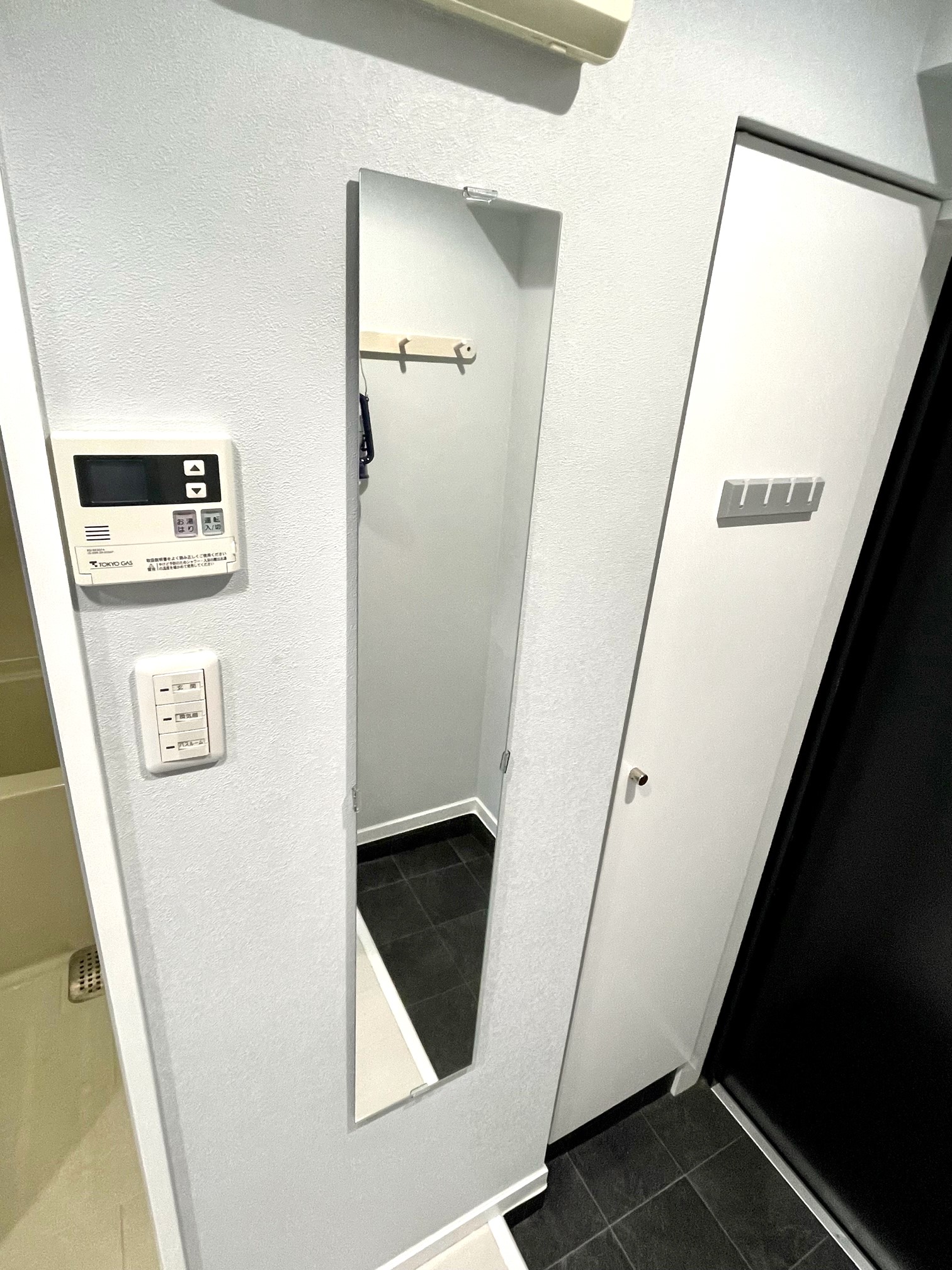 収納　玄関収納、玄関鏡有り