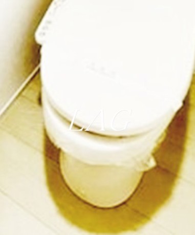 トイレ　トイレです。