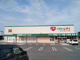 ドラックストア　くすりのレデイ 高松川岡店（ドラッグストア）まで1325m