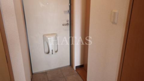 玄関　同物件別部屋です。