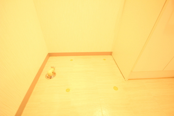 その他　※別部屋の写真です