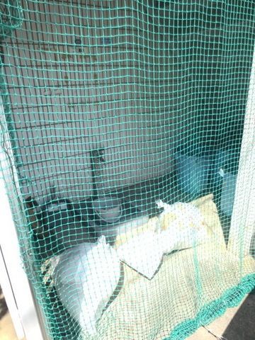 その他共有部分　★ゴミ捨て場★