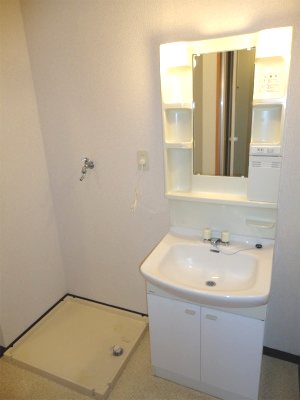 その他設備　室内洗濯機置場（同間取り2Fの参考写真です）