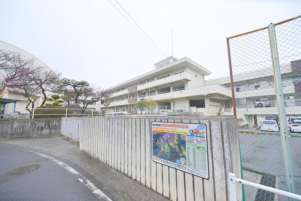 小学校　坂町立坂小学校（小学校）まで553m