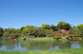 公園　六義園（公園）まで641m