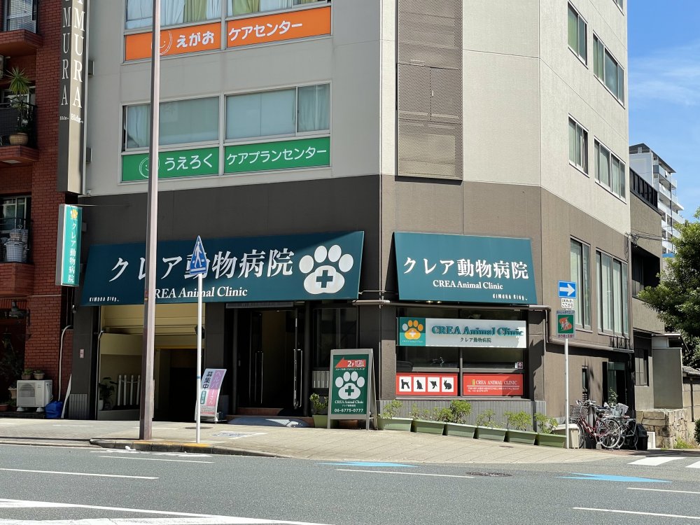 病院　クレア動物病院（病院）まで1765m
