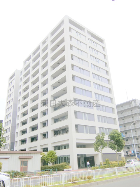 建物外観　2009年2月築　RC鉄筋コンクリート造地上13階建て総戸数