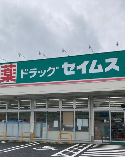 ドラックストア　ドラッグセイムス堀の内店（ドラッグストア）まで341m