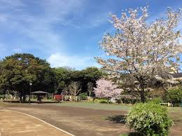 公園　どんぐり児童遊園（公園）まで568m