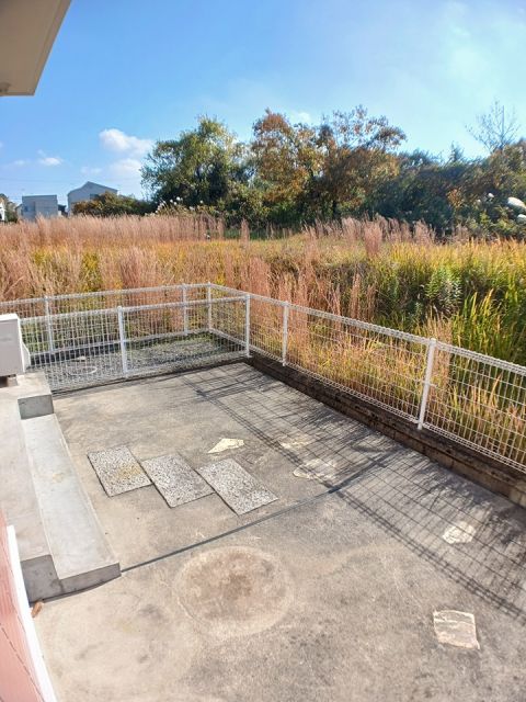 庭