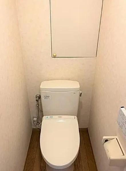 東京メトロ有楽町線 江戸川橋駅 徒歩2分 12階建 築26年のトイレ写真