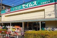 ドラックストア　ドラッグセイムス太田窪店（ドラッグストア）まで335m