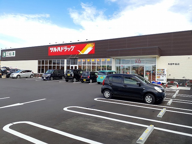 ドラックストア　ツルハドラッグ秋田牛島店（ドラッグストア）まで1119m