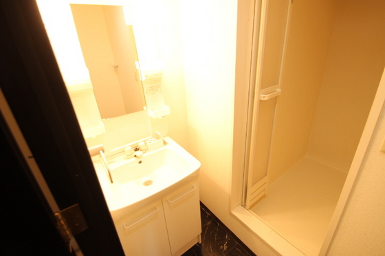 洗面設備　※別号室の写真です。