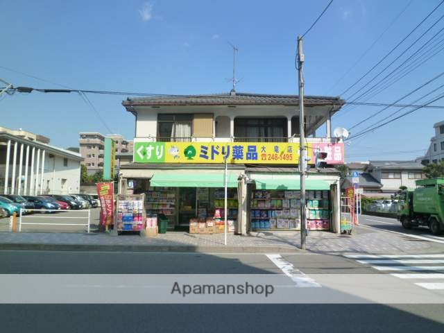 ドラックストア　ミドリ薬品大竜店（ドラッグストア）まで233m