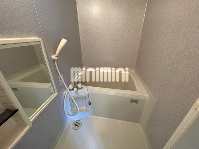 バス・シャワールーム　２０２号室のお写真です。