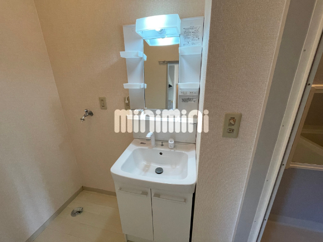 洗面設備　２０２号室のお写真です。