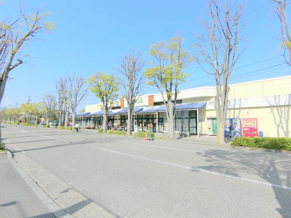 スーパー　デリシア若里店（スーパー）まで500m