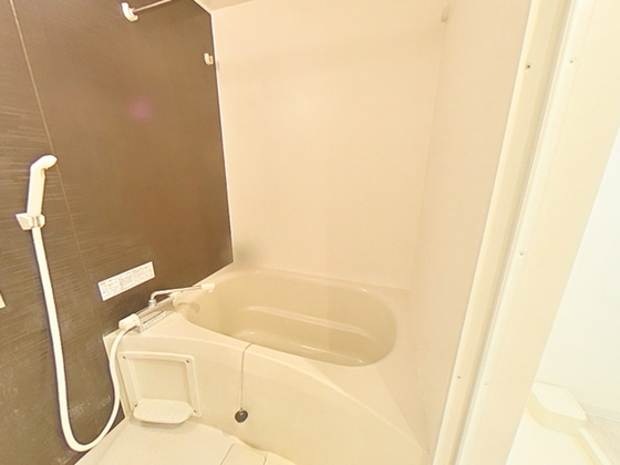 バス・シャワールーム　※別部屋の写真です